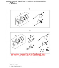 601A - Опции: multi Function Gauge (1)