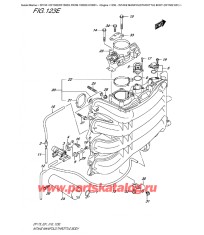 123E - Впускной коллектор / Дроссель газа (Df150Z E01)